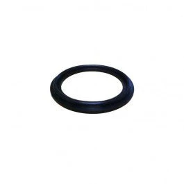 Master Spa - X278956 - 2" Gasket For Laing Circ Pump