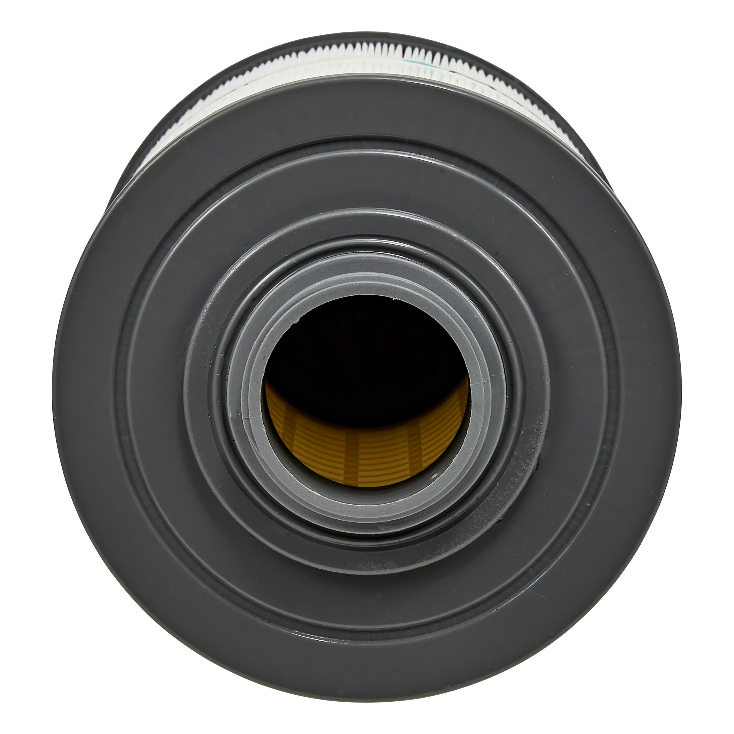 Twilight, Legacy, Legend, Therapool SE/D (PMA-40L-F2M - X268543) Filter - Image 4