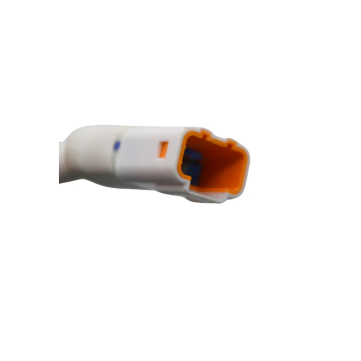 X333263 - Harness, 2PT RGB 48 - Image 3
